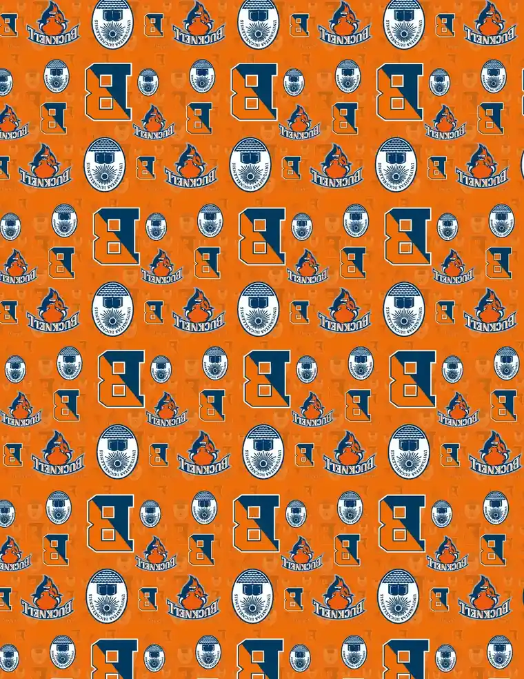 Custom Bucknell University fabric sheet