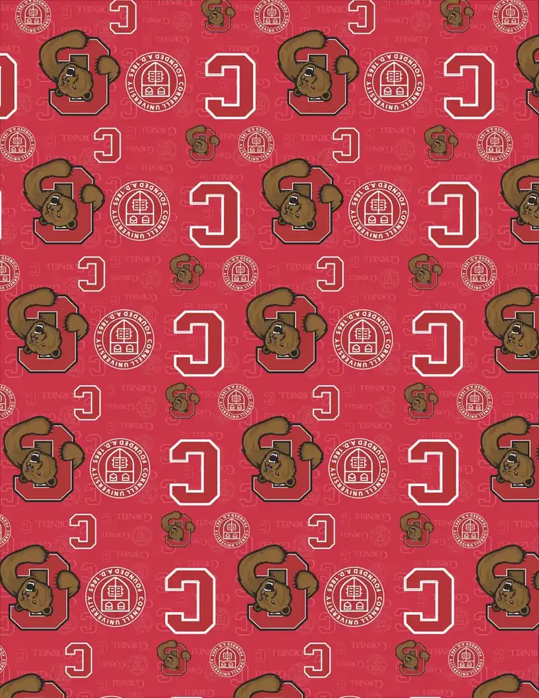 Custom Cornell University fabric sheet
