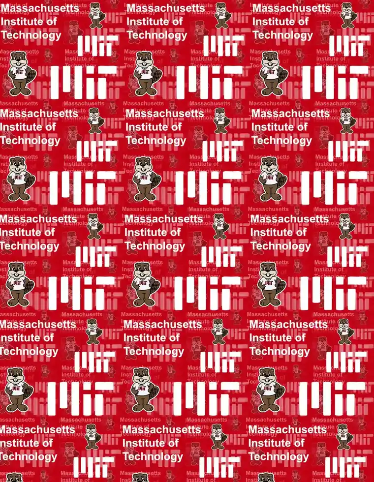 Custom MIT fabric sheet