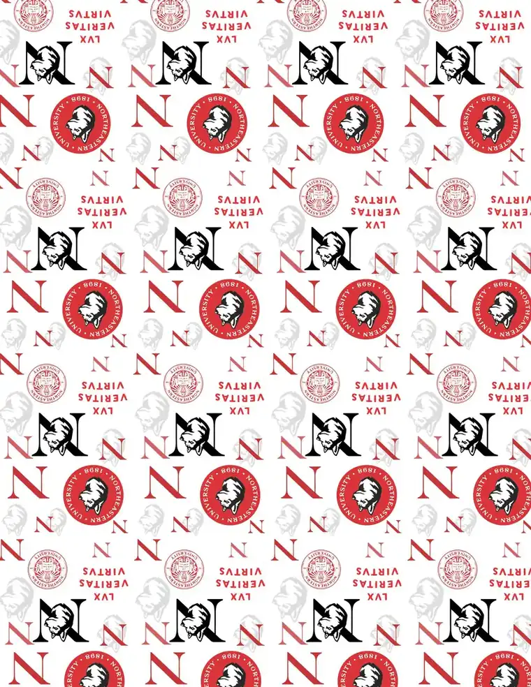 Custom Northeastern University fabric sheet