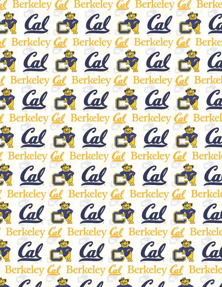 Custom UC Berkeley fabric sheet