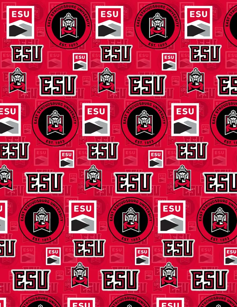 Custom East Stroudsburg fabric sheet printed in school colors