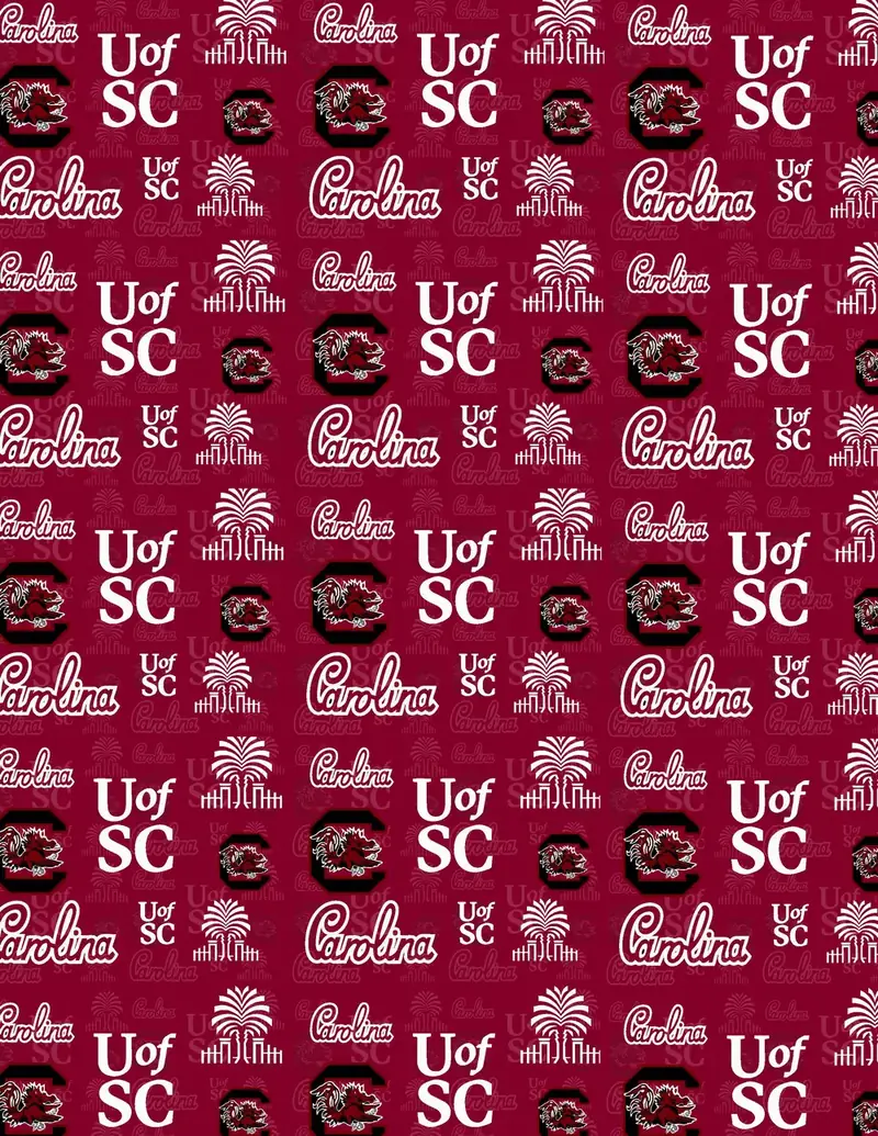 Custom South Carolina fabric sheet printed in school colors