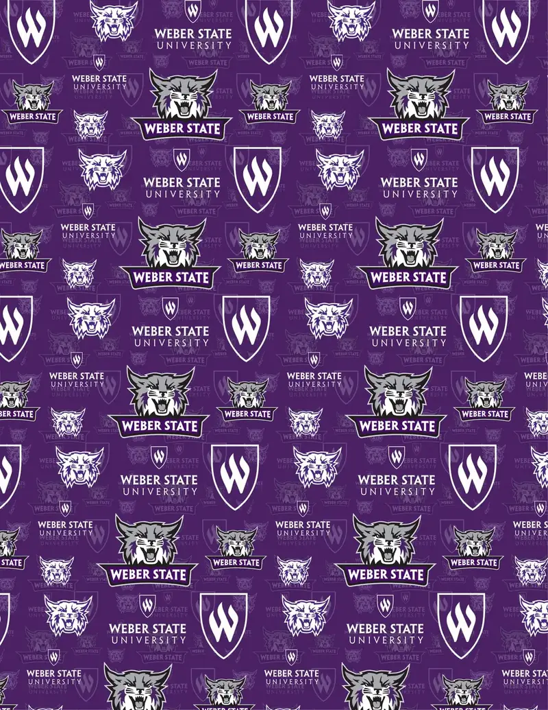 Custom college pattern fabric sample