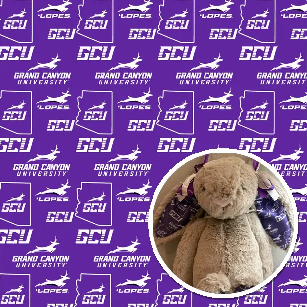 Custom Grand Canyon fabric sheet, with the plush a customer made from it