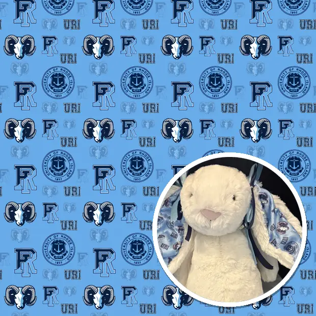 Plush made from the custom University of Rhode Island fabric sheet